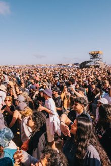 Ya estamos modo Surfestival 2025