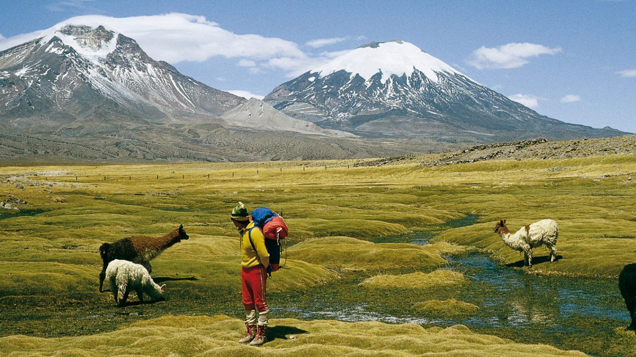 https://latinwave.cl/wp-content/uploads/2020/03/Parque-nacional-lauca-ID55-1280x720.jpg