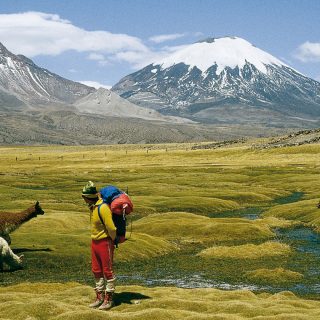 Documental: LAWQA / Que el Parque vuelva a ser Parque