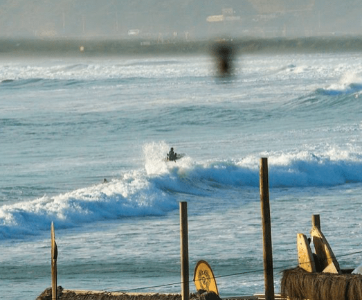 Manuel Leger Surf