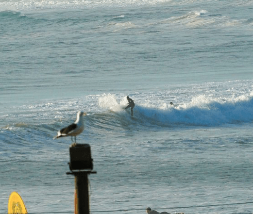 Manuel Leger Surf