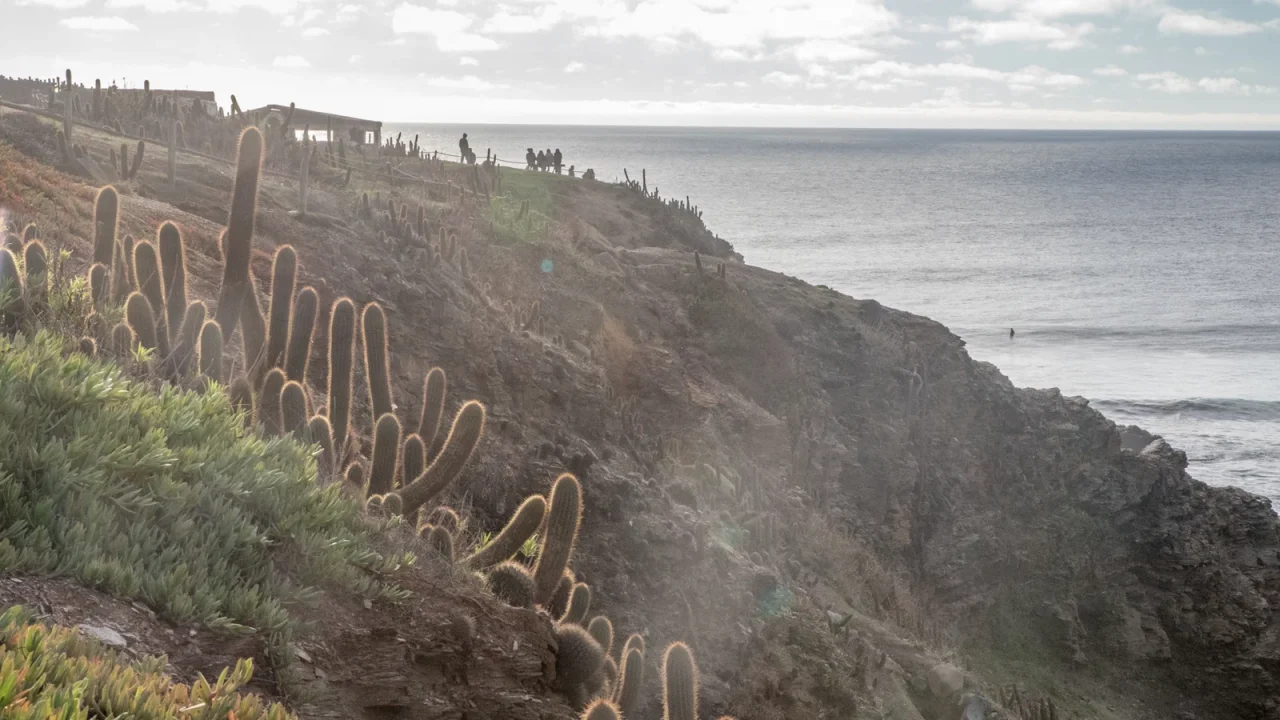 https://latinwave.cl/wp-content/uploads/LANDED-Travel-Family-Travel-Chile-19-Pichilemu-006.jpg-1280x720.webp