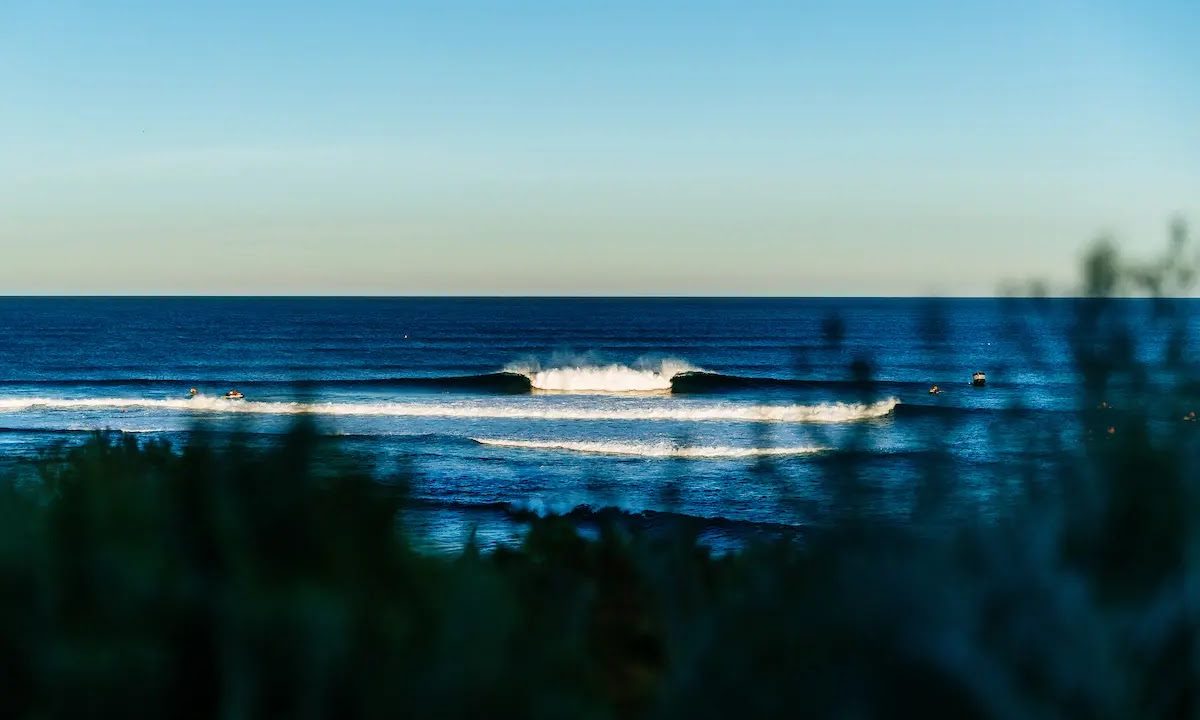 https://latinwave.cl/wp-content/uploads/Lineup_24MargaretRiver_A50I1128_Aaron-Hughes-1200x720.jpg